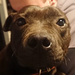 Gary