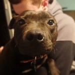 Gary