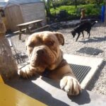 Eilas Rescue