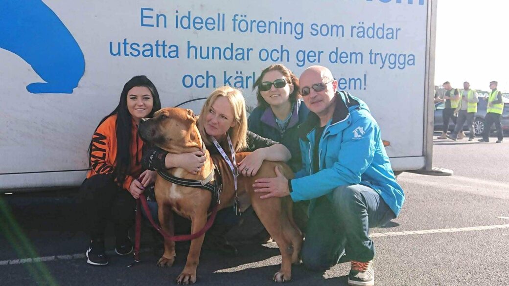 WAG – Working Animal Guardians