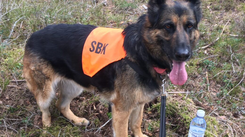 Hälsning från Lucy