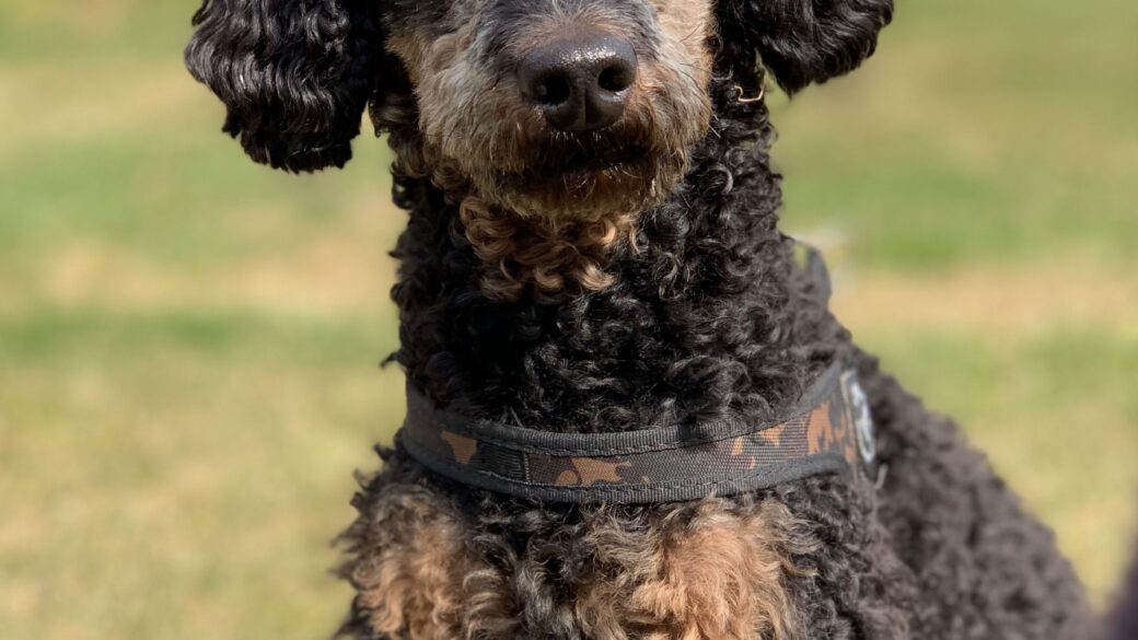 Hälsning från Aron