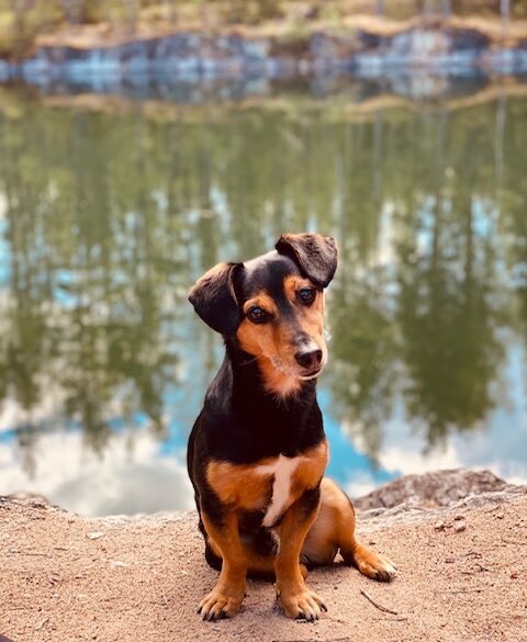 Hälsningar från Franz