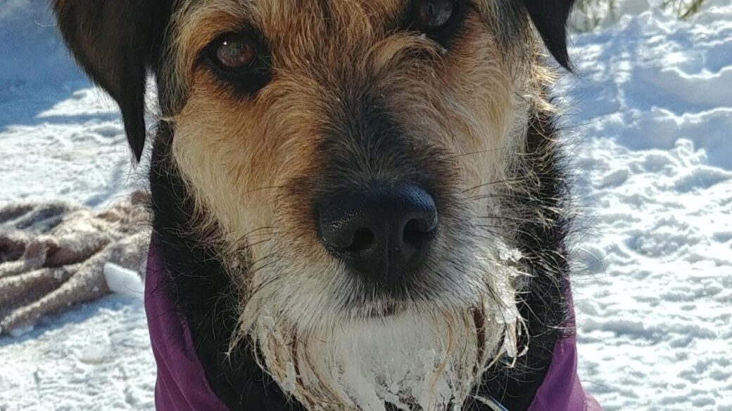 Hälsning från Cava