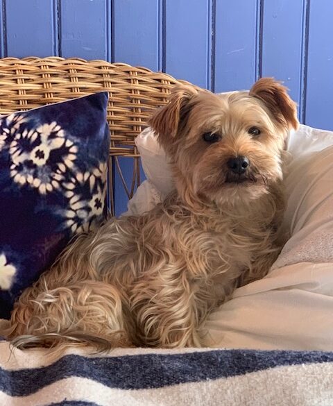 Hälsningar från Jacob