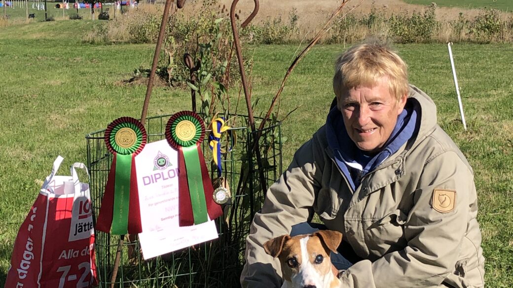 Hälsningar från Matz