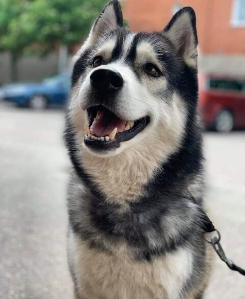 Hälsningar från Tiberius