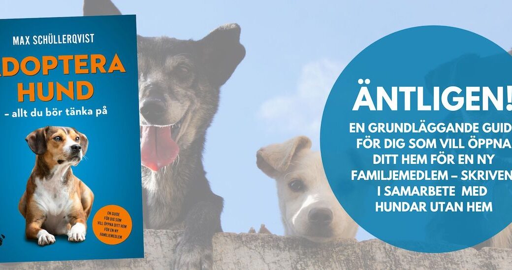 Nu finns boken om att ”Adoptera hund” i webbshoppen