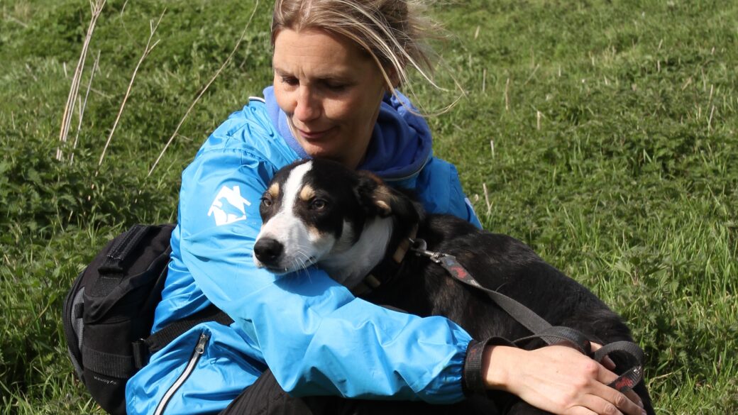 Hjälp oss bygga kennelplatser i Sverige för rehabilitering av hundar