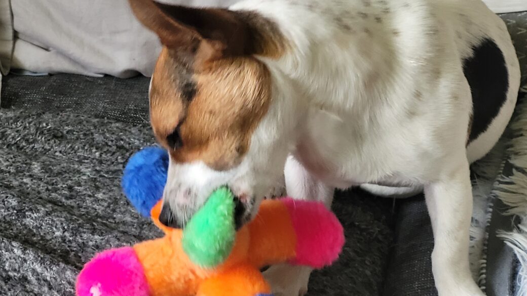 Hälsningar från Filip