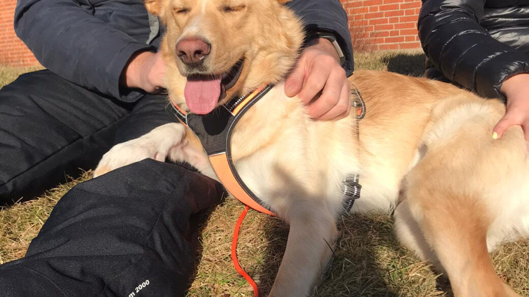 Hälsningar från Remus