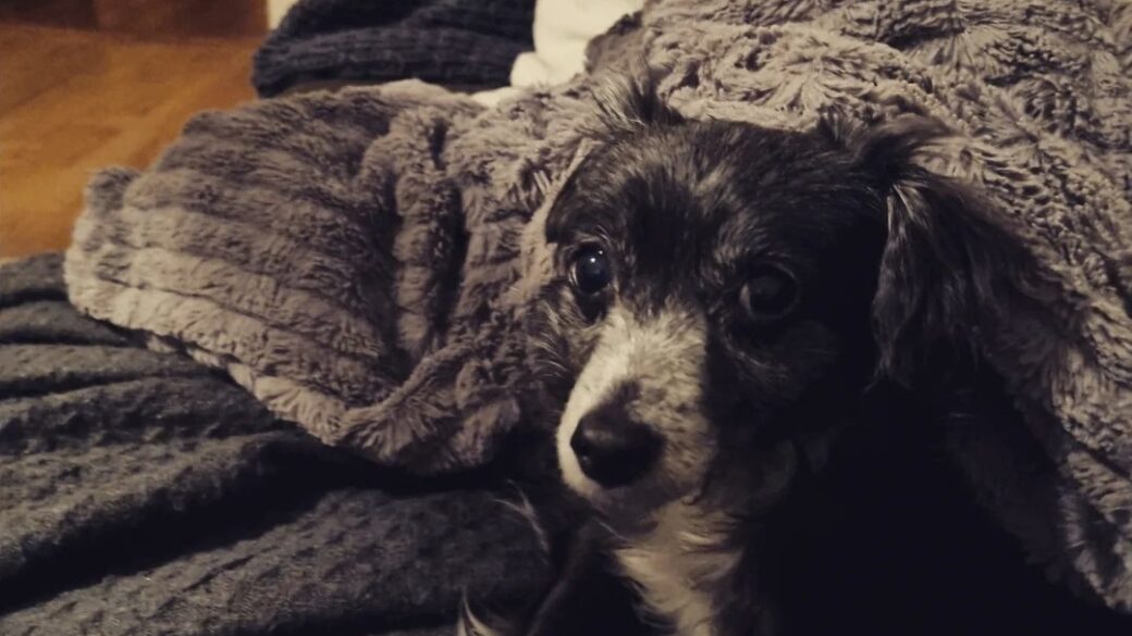 Hälsningar från Maggan