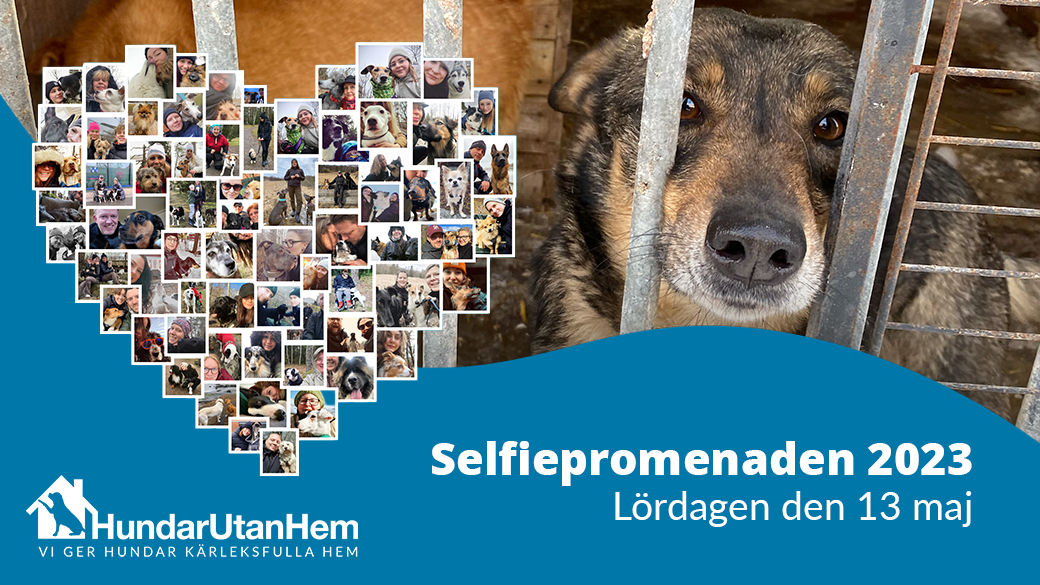 Selfiepromenaden 2023 – den 13 maj går vi!