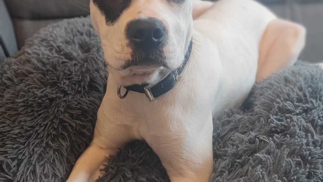 Hälsningar från Jack (fd Philip)