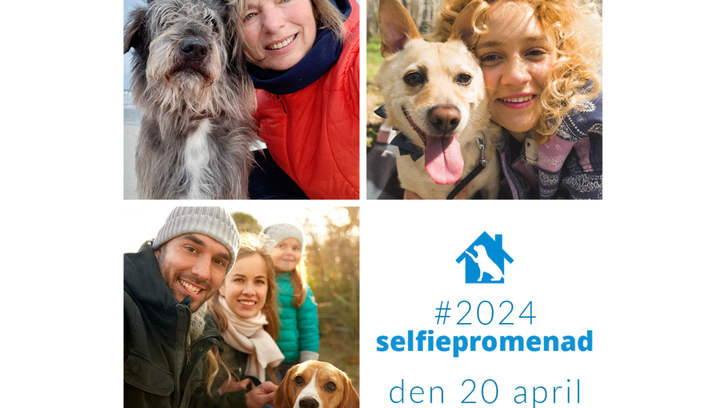 Gå Selfiepromenaden på lördag den 20 april