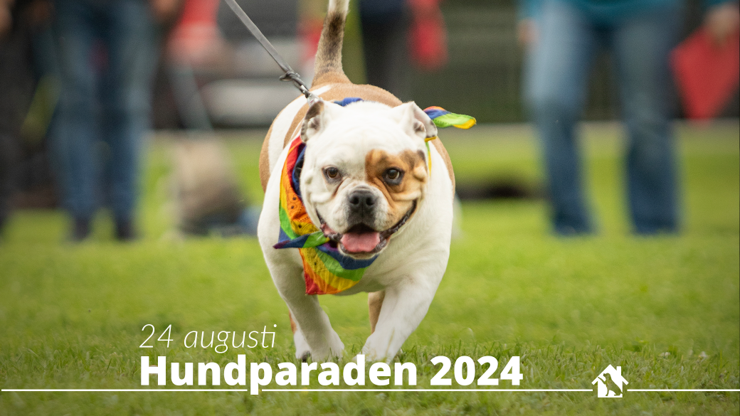 Anmälan till Hundparaden