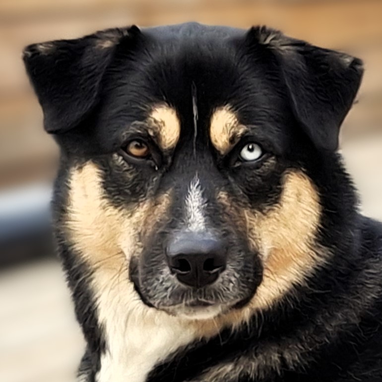 Odin