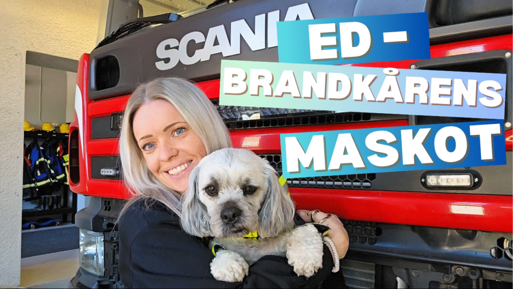 Ed – brandkårens maskot