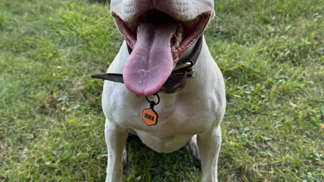 Hälsningar från Irma (fd Bonnie)