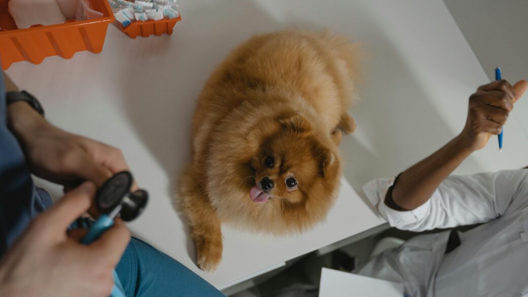 Vi besökte Regeringskansliet