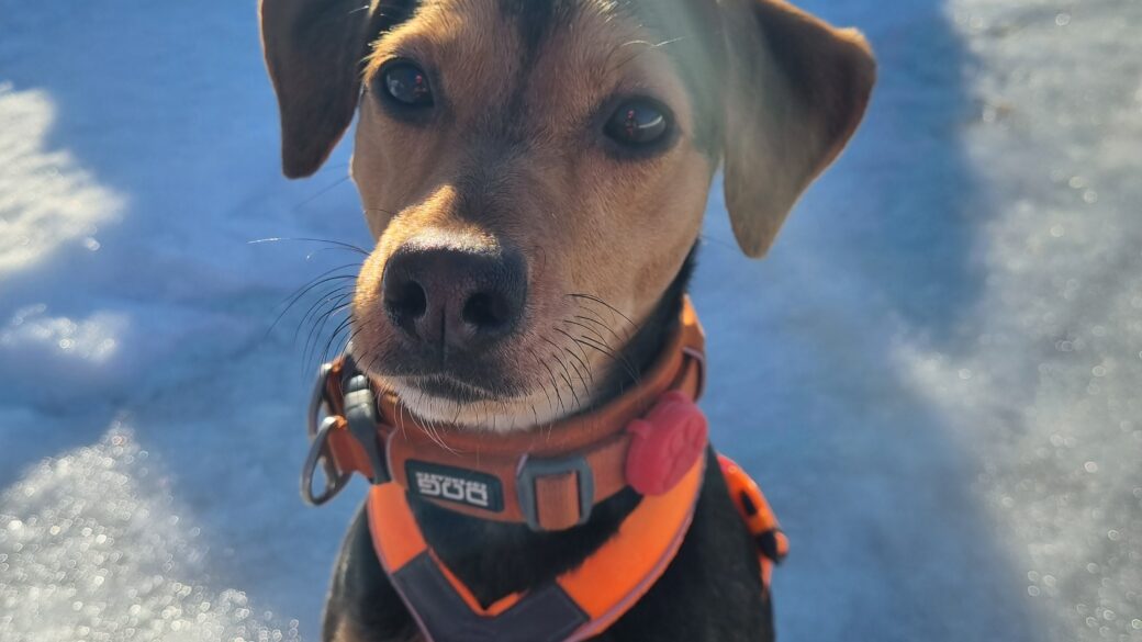 Hälsningar från Cinna