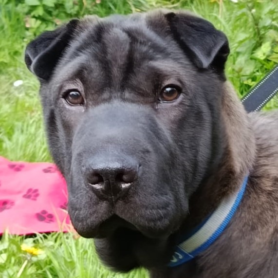Winnie