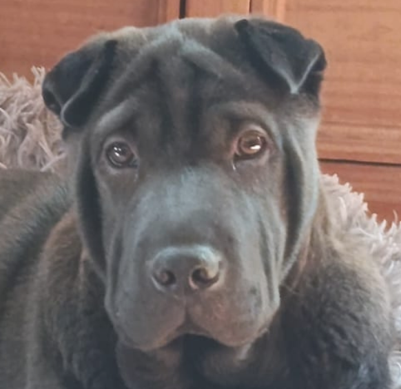 Winnie